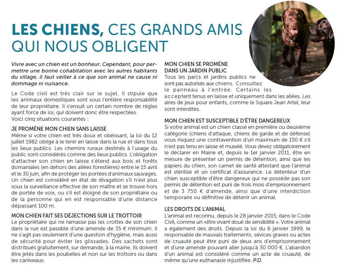 Article chiens