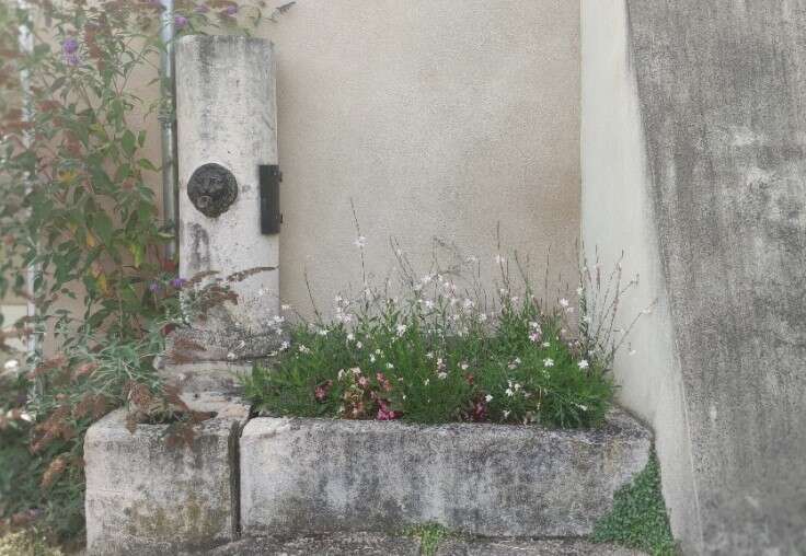 Fontaine Rongueville