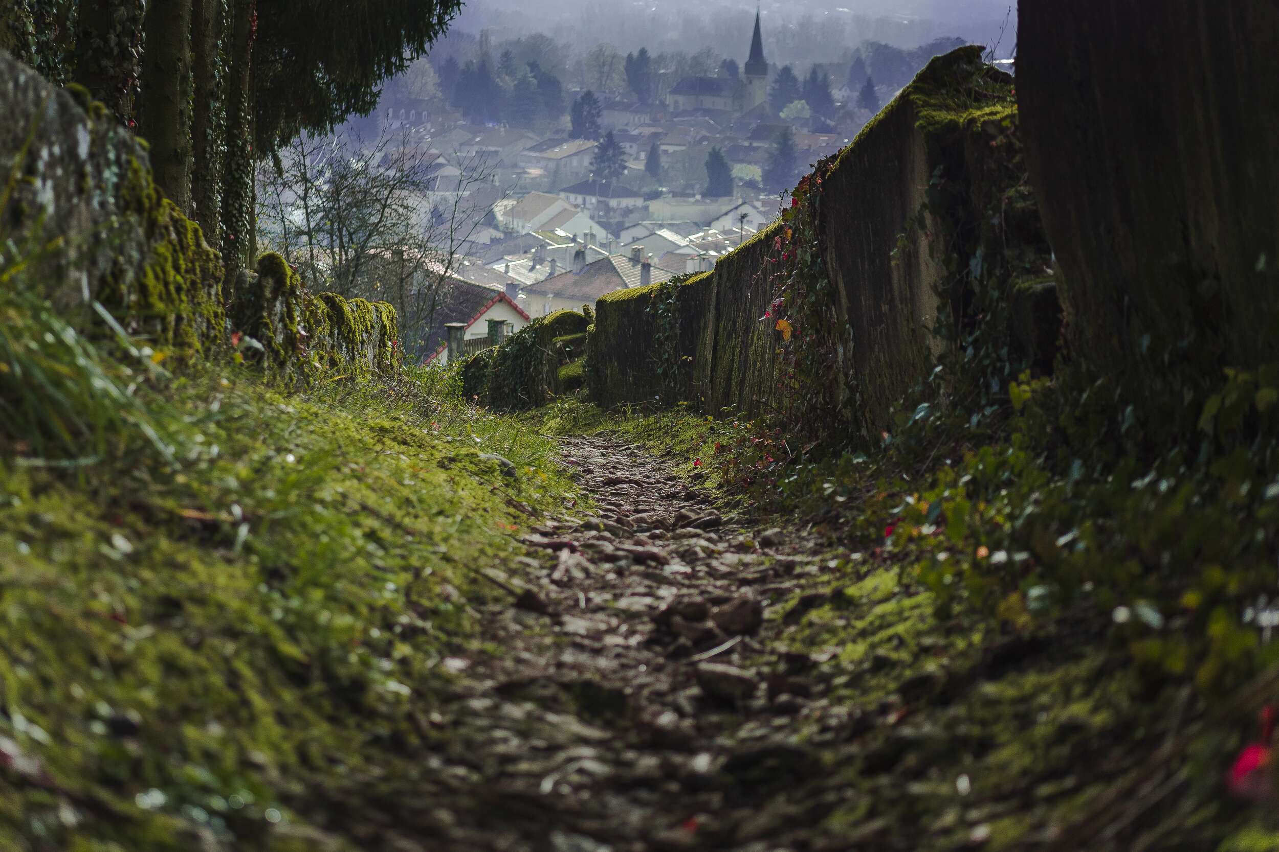Sentier