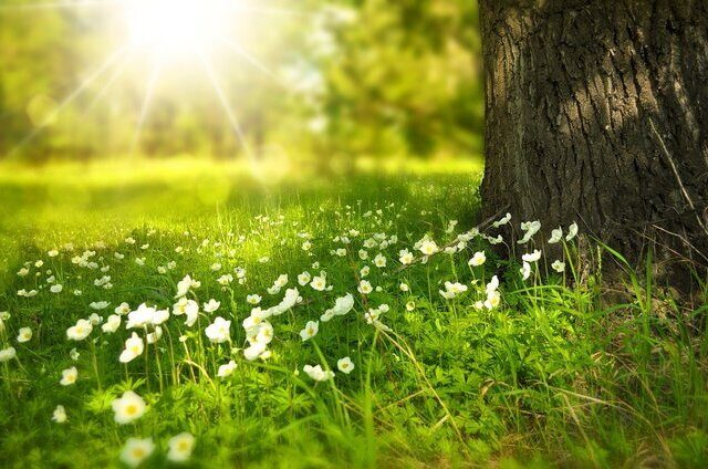 assoc nature et environnement