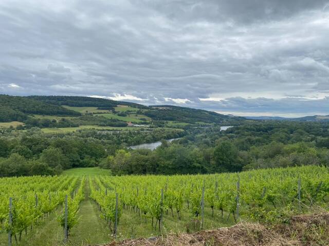 Domaine Buzéa