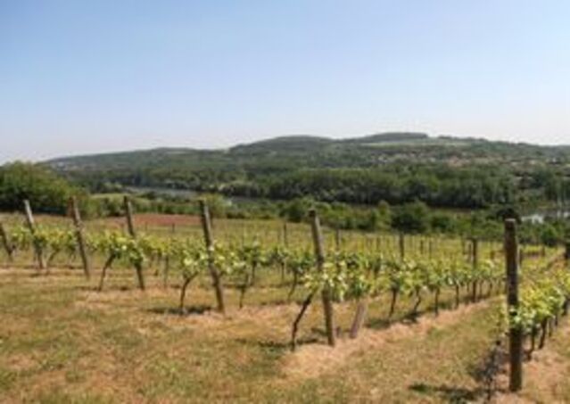 Domaine des Côteaux de Dornot
