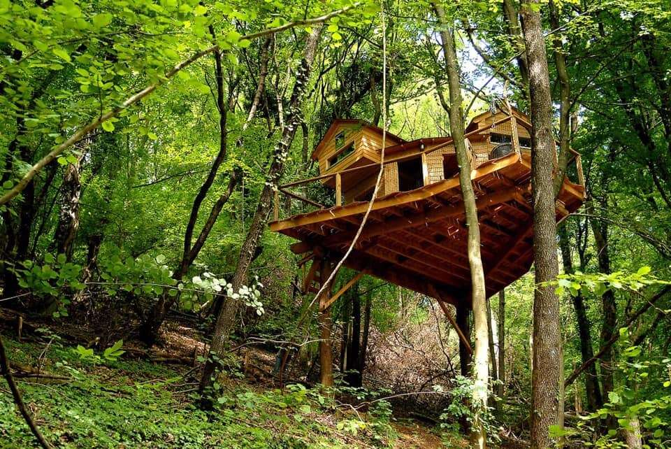 Cabanes dans les arbres