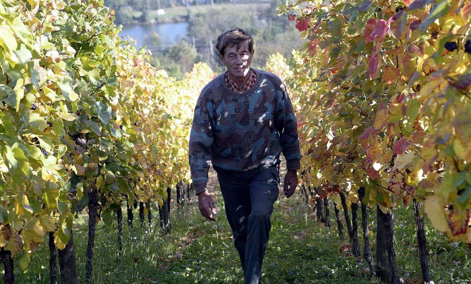 Domaine des Côteaux de Dornot