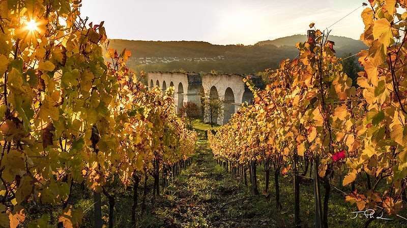 Domaine de La Joyeuse