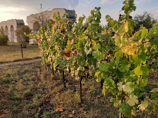 Domaine de La Joyeuse