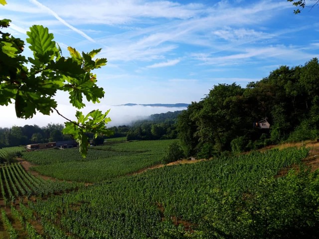 Domaine Les Béliers