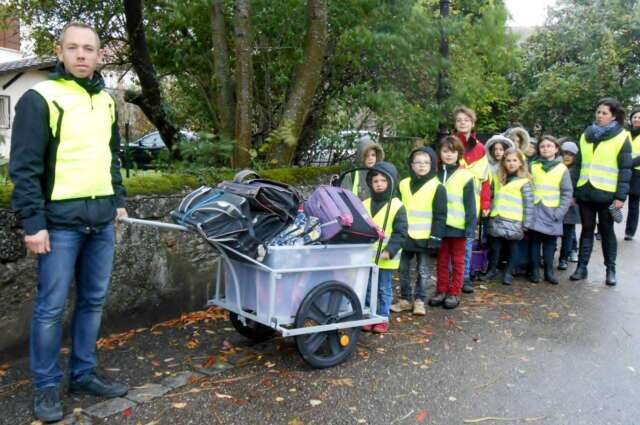 pedibus