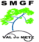 Logo SMGF