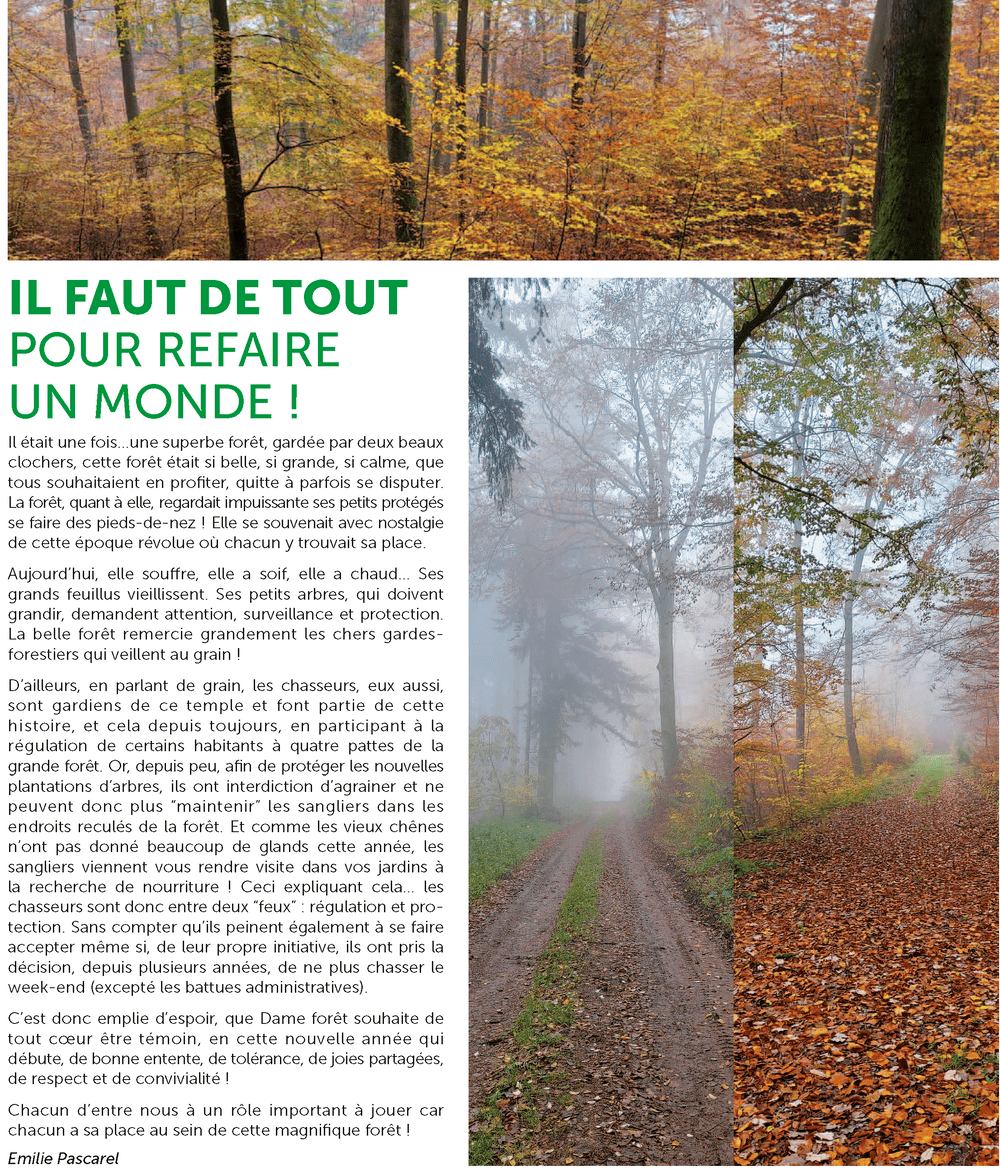 Article chasse