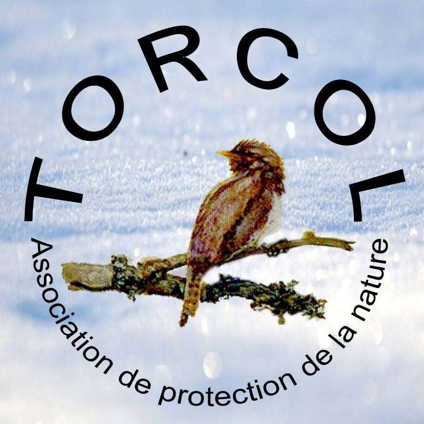logo Torcol